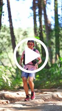 BIB:  <button type="button" onclick="openModal(26787678)" class="btn btn-primary btn-sm float-right" data-toggle="modal" data-target=".modal-high-quality">
                <i class="fa fa-download"></i> Download
                </button>